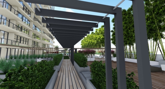 The Alexander Deck 107